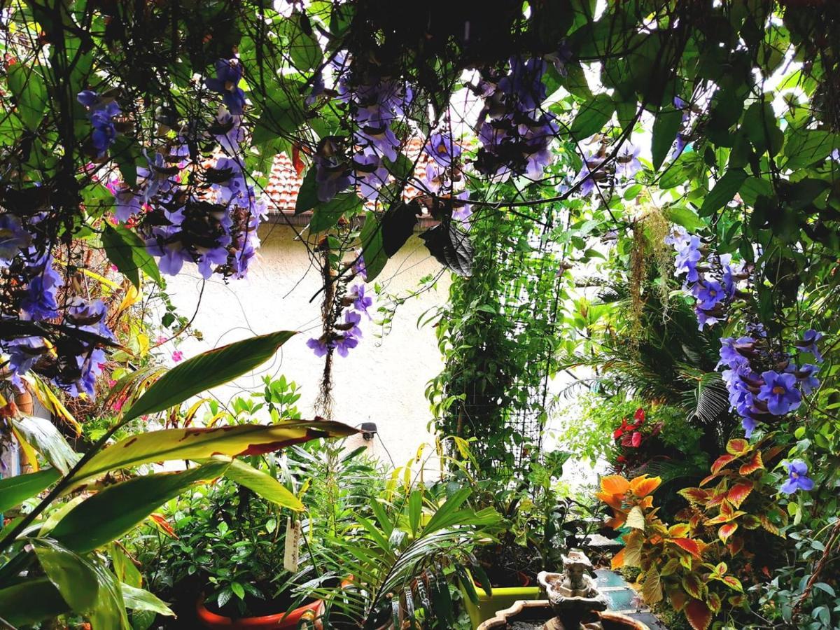 Romantic Casa Lorenzina Affittacamere Βεντιμίλια Εξωτερικό φωτογραφία