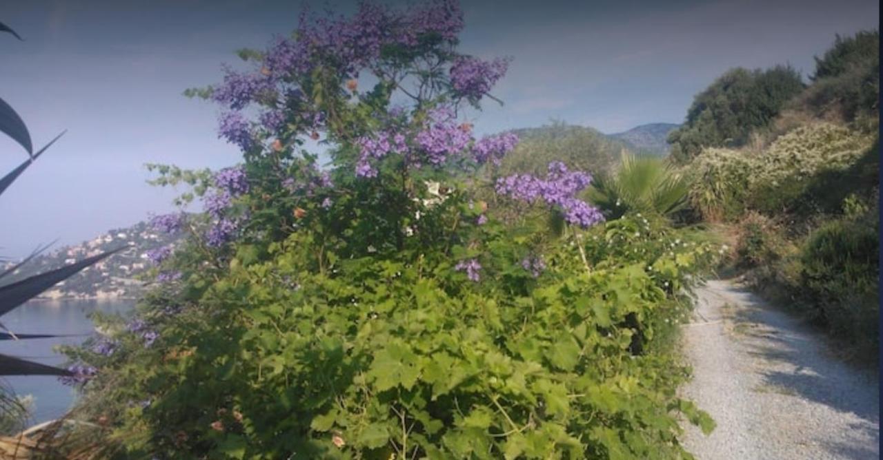 Romantic Casa Lorenzina Affittacamere Βεντιμίλια Εξωτερικό φωτογραφία